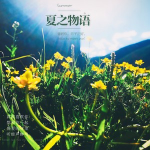 夏之物语