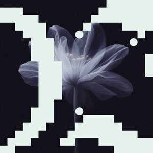 In My Mind (Ivory Reflection)