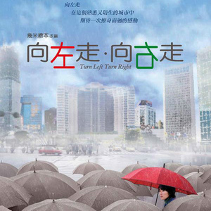 向左走向右走封面