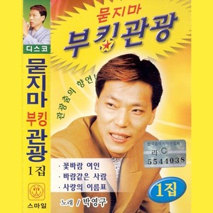 묻지마 부킹관광 1집