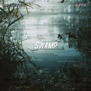 SWAMP (Explicit)
