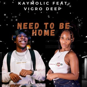 Need To Be Home(feat. Vigro Deep)