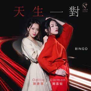 天生一对 (音乐永续 作品)