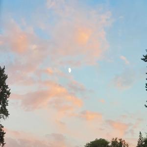 wish me a happy birthday (Explicit)