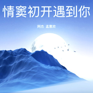 情窦初开遇到你 (伴奏)