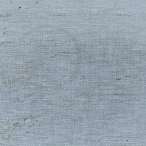 larada's interlude (Instrumental)