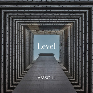 Level