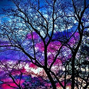 Daniel San (Explicit)