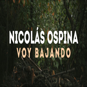 Voy Bajando (Acústico)