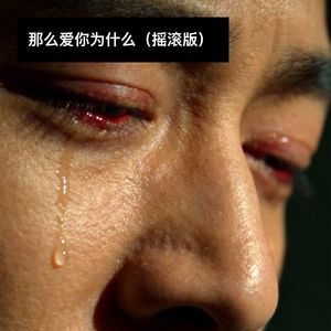 那么爱你为什么 (摇滚版)