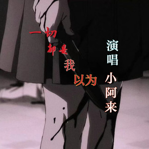 一切都是我以为