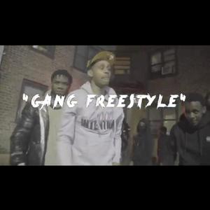 Gang Freestyle (Explicit)