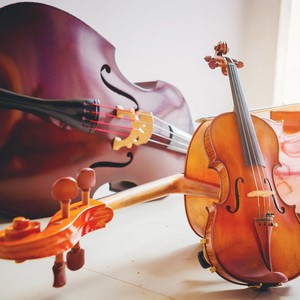 Calm Nights with Gentle Melodies