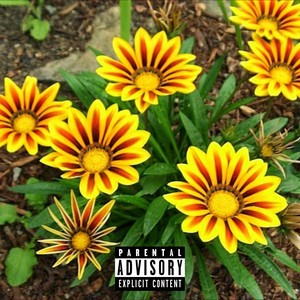 Flowers (Explicit)