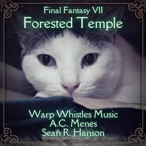 Forested Temple (From "Final Fantasy VII") (Acoustic Cover)