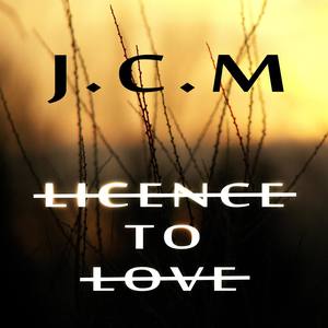 Licence To Love