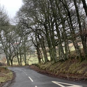 I can't tell if you ever cared so i guess i'll just not think about it (feat. barelyanygood)