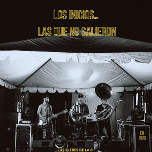 El Gato Y Sus Felinos