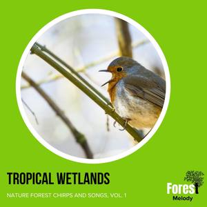 Tropical Wetlands - Nature Forest Chirps and Songs, Vol. 1