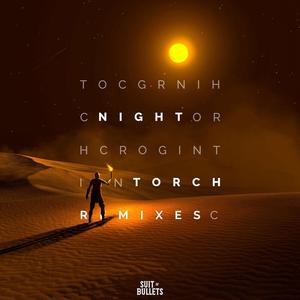 Night Torch (Trinist Remix)