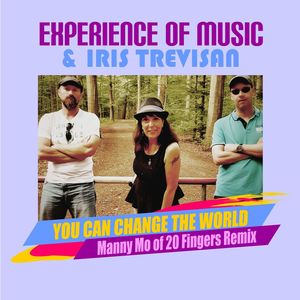 You Can Change the World (Manny Mo of 20 Fingers Instrumental Remix)