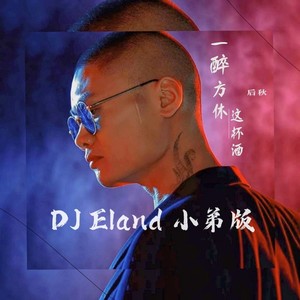 一醉方休这杯酒 (DJEland小弟 remix|Remix)