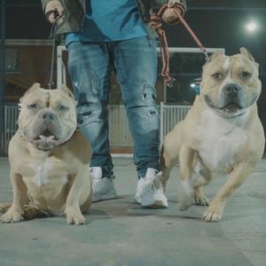 Ya Se Abrió La Puerta (feat. Ousiris)