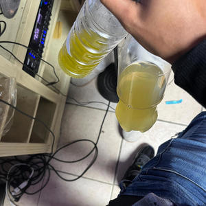 Shine Cordinal (Explicit)