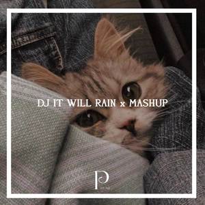 DJ IT WILL RAIN x MASHUP