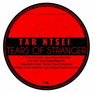 Tears Of Stranger (Original Mix)