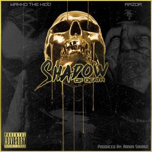 Shadow Of Death (feat. Wakko The Kidd) [Explicit]