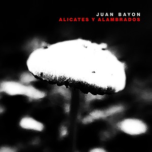 Juan Bayón - Alicates y Alambrados(feat. Leo Genovese & Juan Cruz de Urquiza)
