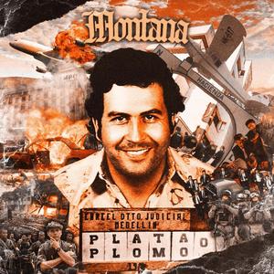 SAPOS Y RATAS (feat. LaOyLaZ) (Explicit)