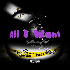 All I want (Explicit)