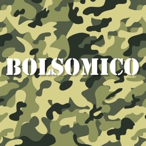 Bolsomico