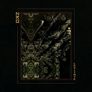 Levitate (feat. Marysia Osu, James Akers, Lyle Barton, Daniel Casimir & Tilé Gichigi-Liperé)