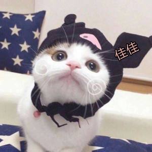 蒲公英的约定封面