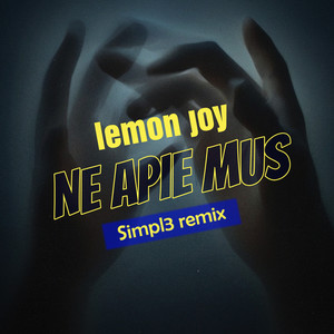 Ne apie mus (Simpl3 Remix)