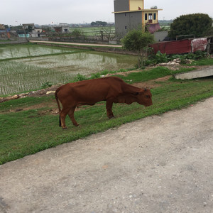 Melody Of My Life Where You Leave Me