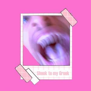 Shook to my Grook (Explicit)