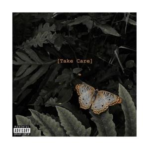 Take Care (Explicit)