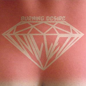 Burning Desire (Explicit)