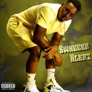 Swagger Alert (Explicit)