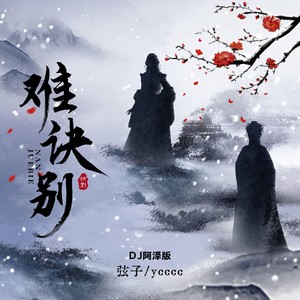 难诀别 (DJ阿泽版)封面