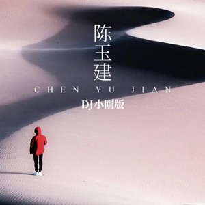爱上离婚的女人 (DJ小刚版)封面