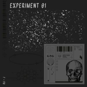 The Experiment (Explicit)