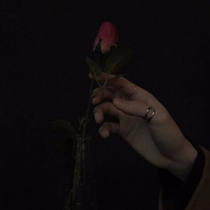 this wasn't love