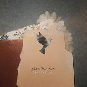 Enveloped (Interlude)