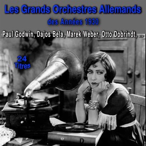 Les grands orchestres allemands des années 1930 (24 Titres)