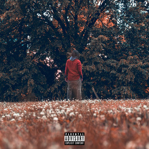 Voice Memos (Explicit)